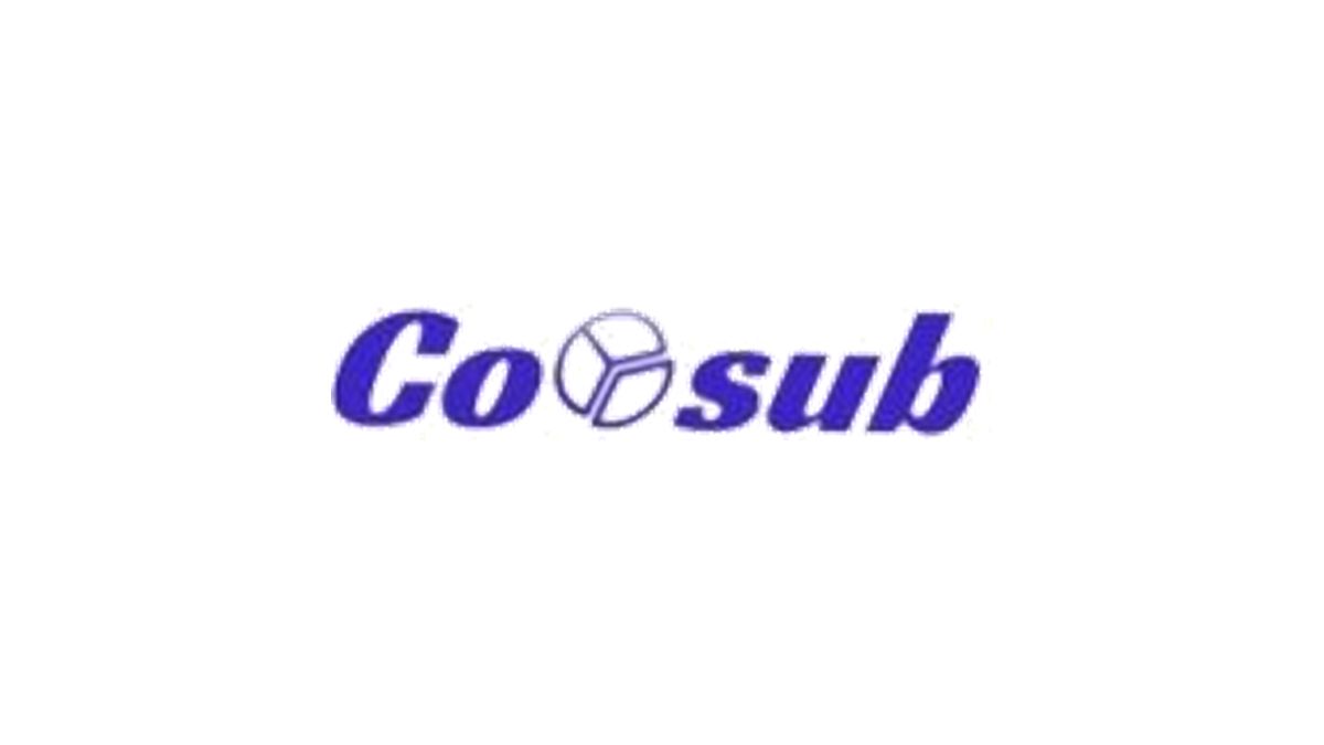 Coosub Review: Is the Shared-Subscription Marketplace Worth It?